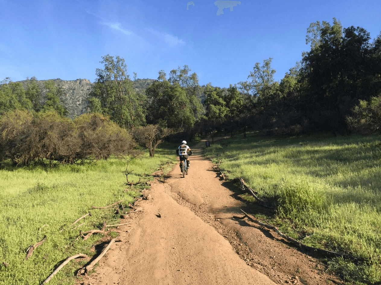 Ciclista subiendo por un sendero de tierra entre pasto verde y árboles