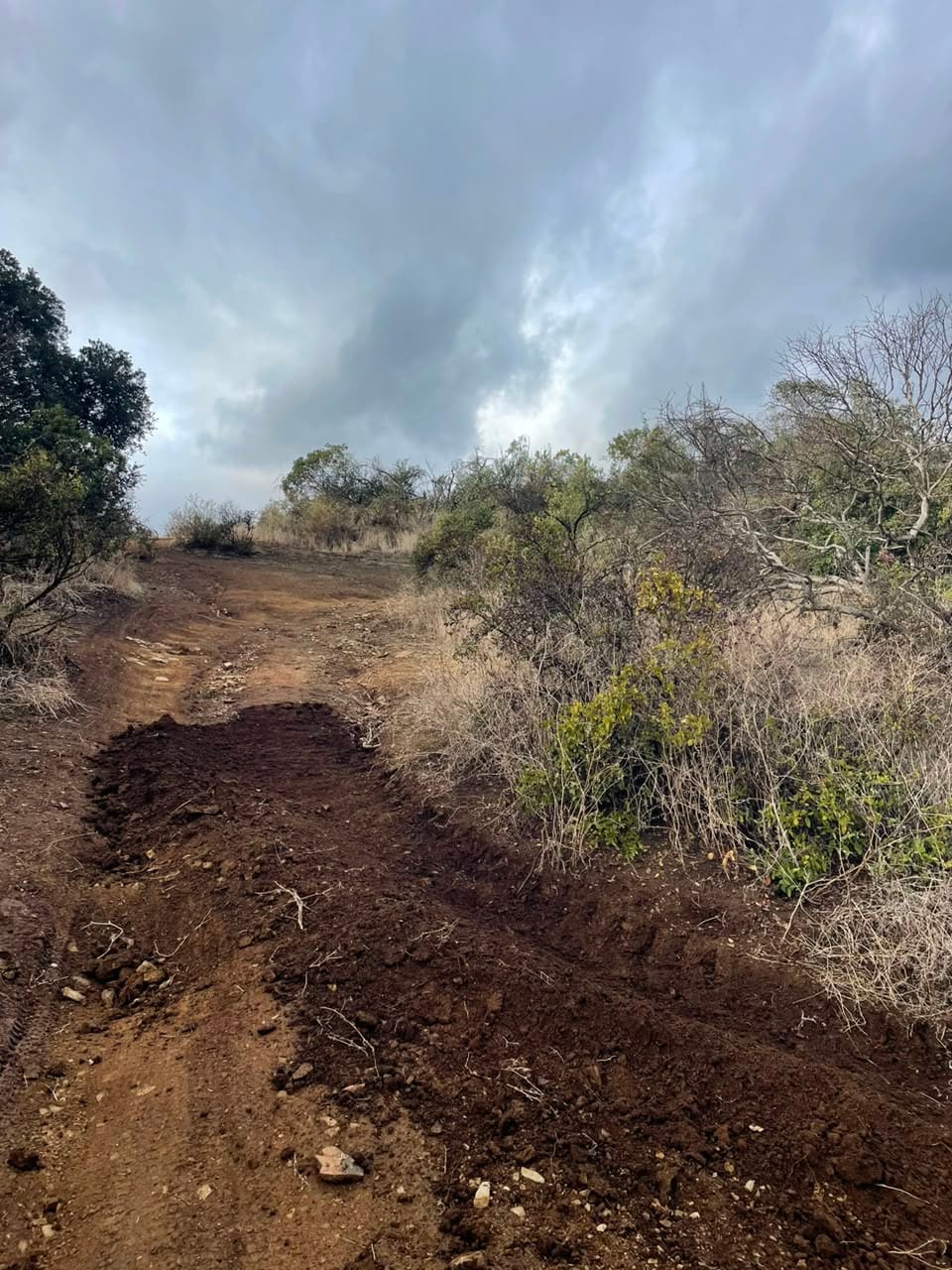Huella de sendero reperfilada en la ladera, con el desbroce despejado a un costado