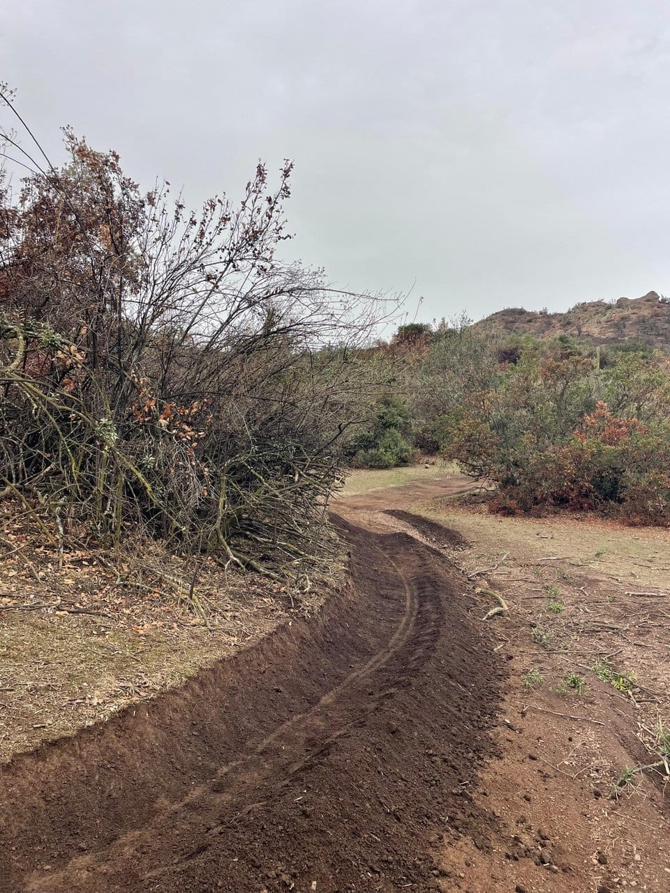 Trazado recién abierto con el desbroce acopiado a un costado del sendero