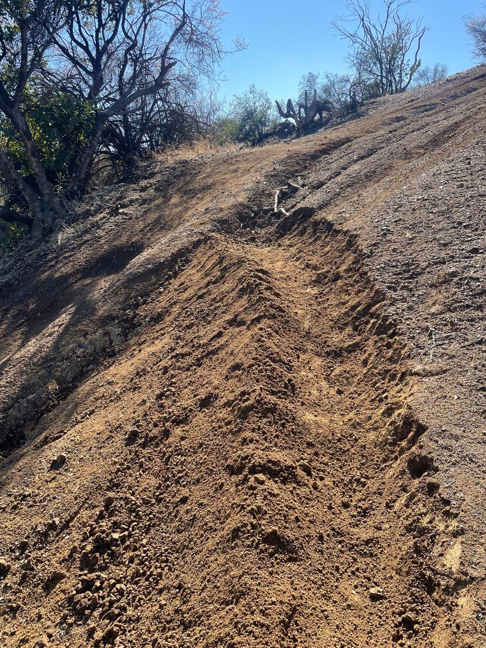 Tramo de sendero recién reperfilado en una ladera empinada, con tierra removida