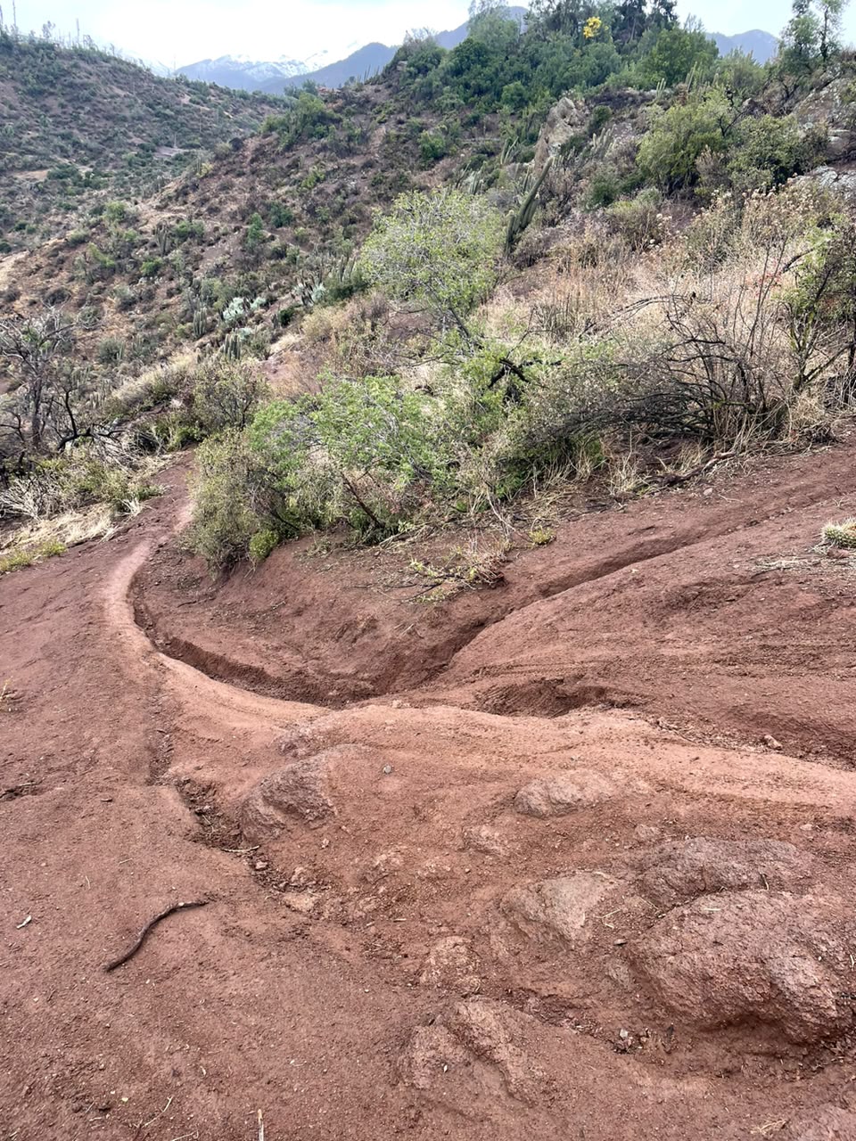 Sendero trazado en la ladera del cerro, con la cordillera nevada al fondo